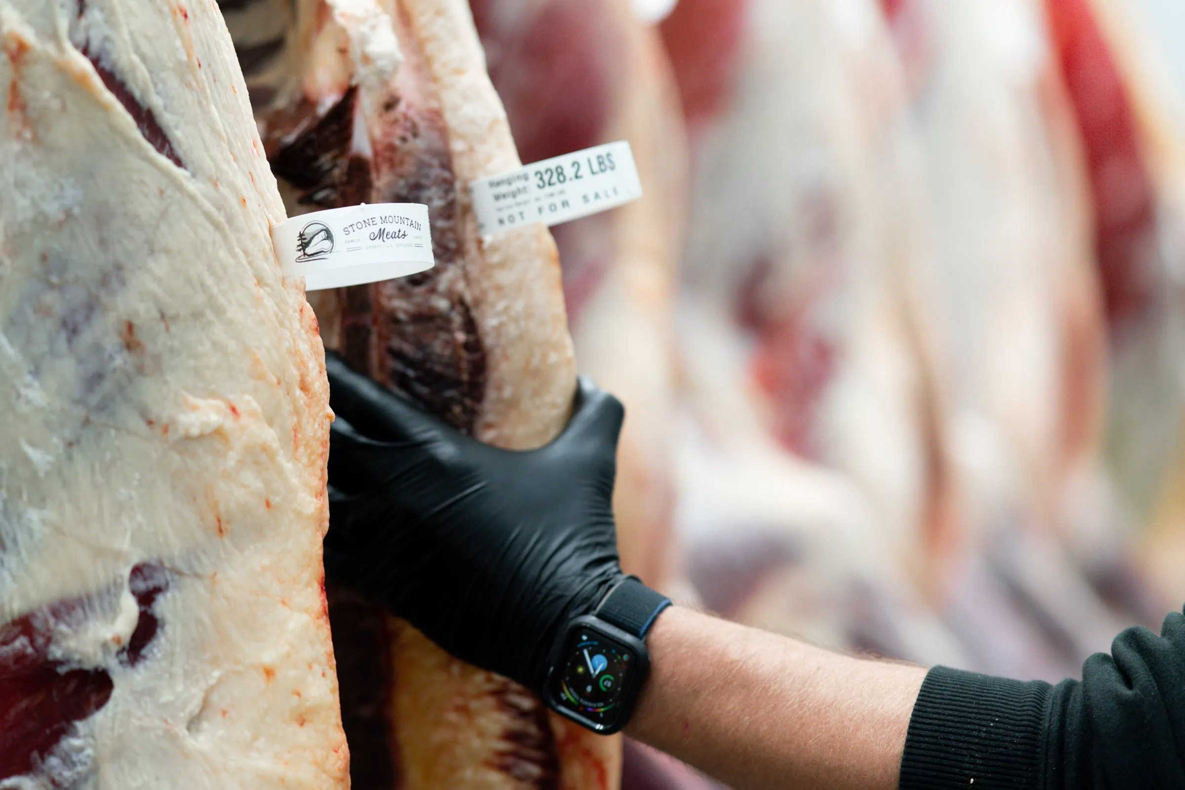 Tagged beef sides hanging on the rail in the cooler