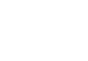 Stone Mountain Meats